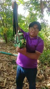 กระเป๋าไก่ กระเป๋าใส่ไก่ กระเป๋าใส่ไก่ตั้ง กระเป๋าใส่ไก่ต่อ เป็นโครงขึ้นรูปสวยงาม