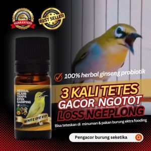 Vitamin Doping Herbal Khusus Pleci Langsung Gacor Buka Paruh Harian Dan Lomba 10Ml