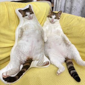 Labeau-AWU Eat Your Uncle Hug Fake Smile Cat Pillow Home Sofa Cushion