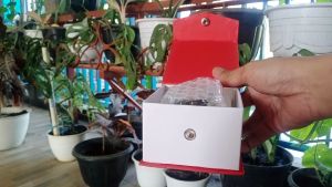 Jam Tangan Custom // JAM TANGAN STICKER CATERPILLAR EXCAVATOR // JAM TANGAN KEREN FULL ANALOG