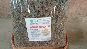 100g cây mơ lông tía sấy khô hữu cơ