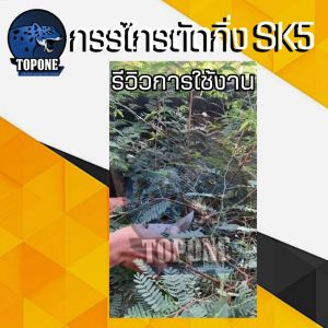 [กรรไกรตัดกิ่งไม้ SK5 (made in Japan) คม ทนทาน แต่งกิ่ง แข็งแรง กรรไกรสแตนเลส ทำสวน ดอกไม้ เครื่องมือจัดทำสวน บอนไซ]