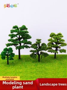 DUOCAIHANI | Micro Landscape Model Trees