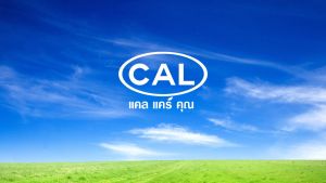 น้ำมันผมอาร์แกนออยล์ บำรุงผม หนังศีรษะ ช่วยให้ผมสวยมีน้ำหนัก นุ่มสลวย เงางาม ดูสุขภาพดี ช่วยป้องกันความร้อนจากไดร์เป่าผม เครื่องหนีบผม ผลิตภัณฑ์คุณภาพ จาก CAL