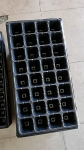【BUY 10 TAKE 10】 Seedling Tray Seed Plant Container Flower Pot 32/72/128 Holes Durable Garden Tray