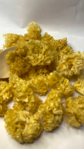 Wholesale 250g 500g 1kg snow fungus