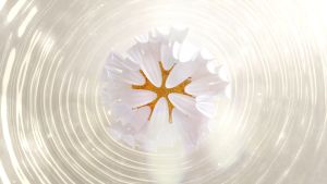 Sữa tắm dược liệu Ngọc Thảo _ Chăm sóc chuyên sâu 300ml