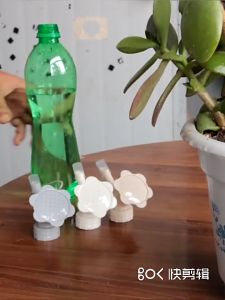 หัวบัวรดน้ำ คละสี ครีม เทา หัวรดน้ำต้นไม้ หัวบัวรดน้ำต้นไม้ ฝักบัวจิ๋ว หัวฝักบัวรดน้ำต้นไม้ หัวบัวรดน้ำกระบองเพชร