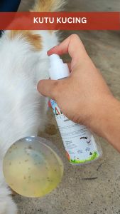 CAMAY Spray Pijat Pepijat Bed Bugs Killer Spray Hama Kutu Kucing & Dust Mite Control Ubat Pepijat