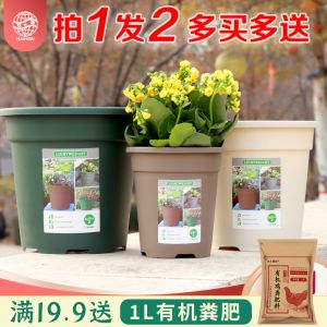 กระถางปลูกผักพลาสติกพลูด่างเพิ่มความหนาทรงกลมแกลลอนรุ่นที่สองกระถางดอกไม้ขนาดใหญ่ควบคุมรากควบคุมพืชอวบน้ำ