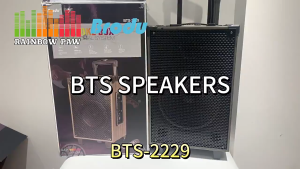 BTS-2229 Portable outdoor Rechargeable Amplifier Speaker 12“ 40W InWood  Trolley Bluetooth Speaker with wireless microphone