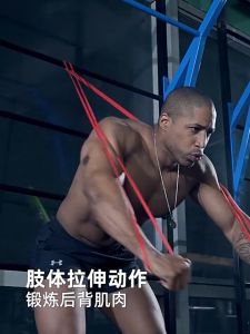 Resistance Bands Gym Natural Latex Elastic Band Exercise Fitness Yoga Band Pull up Bands Power Set Home