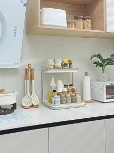 Multifunctional Condiment Rack Stainless Steel