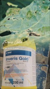 Insektisida 50/25 DC INVERIS GOLD - Pembasmi serangga kutu kebul thrips kutu kutuan BASF
