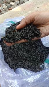 Arang sekam 1 karung beras 25 kg - sekam bakar media tanam hidroponik