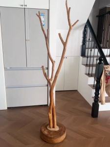 Vintage Natural Wood Branch Coat and Hat Rack