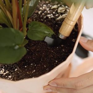 3Pcs Gardening Tools Set Plant Shovel Spade Rake Set House Planting Wooden Handle  Pokok Gardening Tool Set