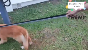 Reflective Large Dog Comfortable Sturdy Durable Harness Adjustable Dog Vest for Medium/Large Dogs For Walking Heavy Duty