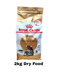 ROYAL CANIN MAINE COON CAT DRY FOOD & WET FOOD POUCH
