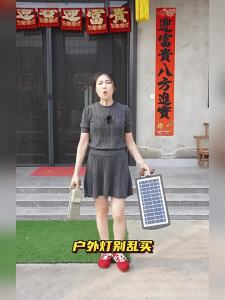 Maiyu | Outdoor Motion Sensor Waterproof Ultra-bright Courtyard Lamp