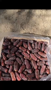 PREMIUM MARIAMI DATES/MARIAMI PIAROM DATES/DRIED MARIAMI FROM IRAN