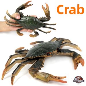 Sea Animal Crab Model Educational Toy