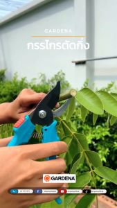 GARDENA กรรไกรตัดกิ่ง สำหรับตัดกิ่งกว้างสูงสุด 18 มม. (08754-24)