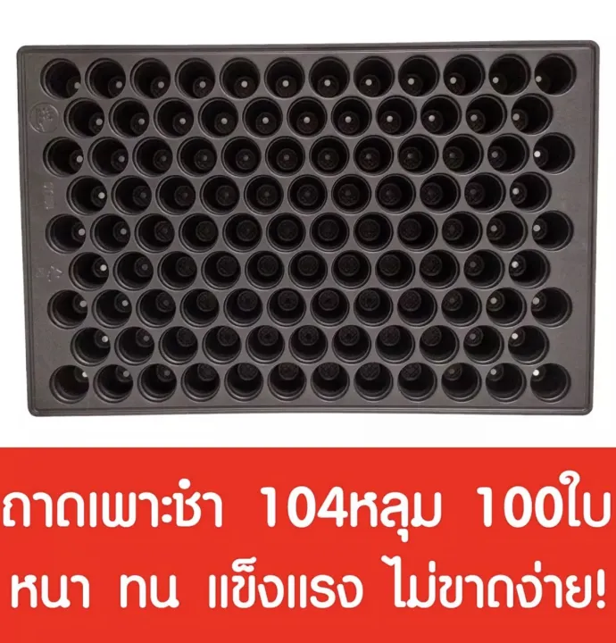 ถาดเพาะกล้า 104 หลุม 100 แผ่น สำหรับเกษตรกร