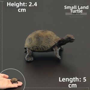 MENGSILE | Solid Realistic Turtle Animal Toy