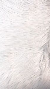 Original Buku Irab Al Quran Kajian Irab Per Kata Zam Zam Juz 28 Dr. Muhammad Mahmud Al-Qadhi