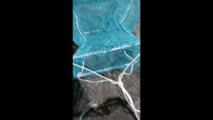 LONG FISH CAGE 6015DRAGON CAGE FOR ALL KIND OF FISHCRAB AND SHRIMP