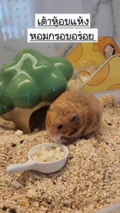 เต้าหู้อบแห้ง สำหรับแฮมสเตอร์ หนู ชูก้า หนูแรท กระต่าย สัตว์เล็ก Tofu Hamster Snack