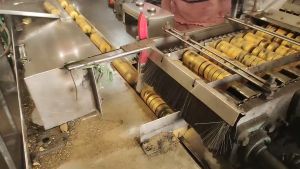 80Pcs/Box Arang Charcoal Gold Charcoal For Bakhoor Golden Charcoal Arang Bakhoor Bukhoor Outdoor Dining BBQ 火炭 烧烤炭 香炉炭