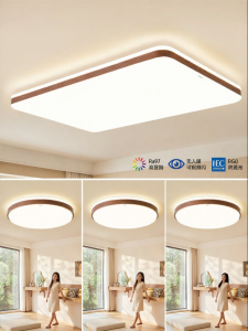 HUIPU ZHAOMING | Retro Style Eye Protection Downlight For Living Room