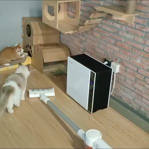 [HCM] Bút Lazer xanh đỏ chuyên dùng trình chiếu-Cozy520