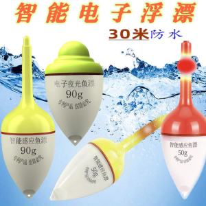 Pin Trôi Dạ Quang Đổi Màu Móc Cắn To Phao Câu Cá Mè To Phao Điện Tử Cảm Ứng Tự Động