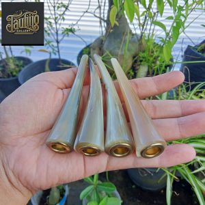 once pipa padutan tanduk kerbau bule super A594