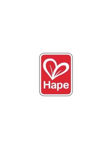 Hape | Early Education Educational Toy Jungle Train Bead Set