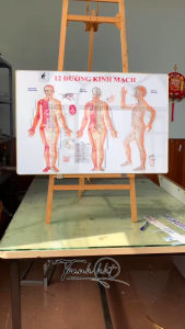 Tranh Y Khoa treo tường 1