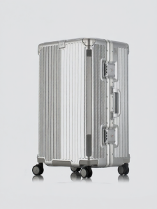 Rockland | Large Capacity Password-protected Luggage 28 inch