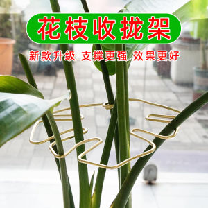 Stable Fixed Forming Turtle Back Bamboo Support Pole for Hydroponic Plants Windproof Sturdy Iron Stand Short Ground Level