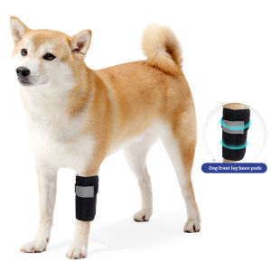 Sentexin 1PCS Dog Canine Front Leg Knee Brace Strap Protection for Dogs Joint Bandage Elderly Dog Auxiliary Protective Gear