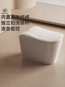 TEM | Ergonomic Automatic Bidet Toilet