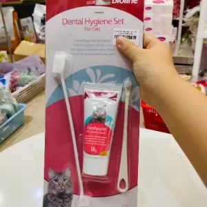 Kem đánh răng cho Mèo kèm bàn chải Bioline 50g giúp làm sạch răng và giảm hôi miệng cho Mèo