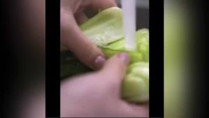 《店铺新品》💗🙋‍♀️💗【98%好评率】大瓶俏代美管道疏通剂下水道疏通神器疏通马桶厨房下水管溶解地漏