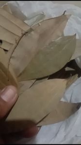 Daun Salam India Kering 100g (TEJ PATTA)