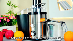 4 In 1 Multifunctional Juicer Maker 3 Speed Centrifugal Fruit Vegetable Juicer Blender No Filter Household Extractor for Kitchen Use