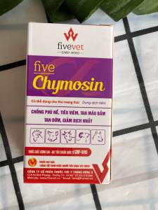 Five. Chymosin - chống phù nề tiêu viêm tan máu bầm