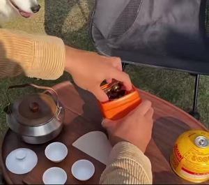 Bộ Bếp Gas Di Động Ngoài Trời - Bếp Cắm Trại Một/hai/ba Bếp Đốt Kèm Bộ Chuyển Đổi Gas Chất Liệu Đồng Dùng Cho Nấu Ăn Ngoài Trời