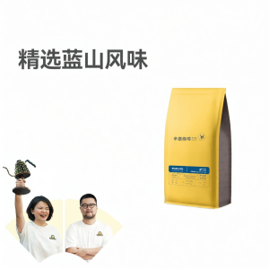 Cà phê hạt nguyên chất SINLOY hương vị Blue Mountain xay tươi 454g